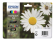 C13T18064010 Epson 18 Multipack - 4-pack - black/yellow/cyan/magenta - original - blister  C13T18064010