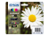 C13T18164012 Epson 18XL ink cartridge : black, yellow, cyan, magenta  C13T18164012