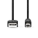 CCGB60100BK20 Nedis USB-kabel | USB 2.0 | USB-A male - USB-B male | 2,0 m | Zwart  CCGB60100BK20